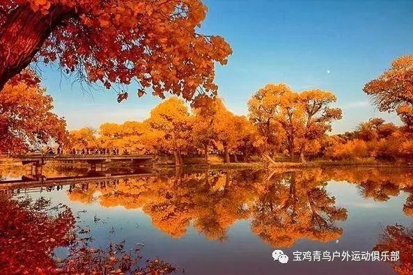 密室之逝夜流转