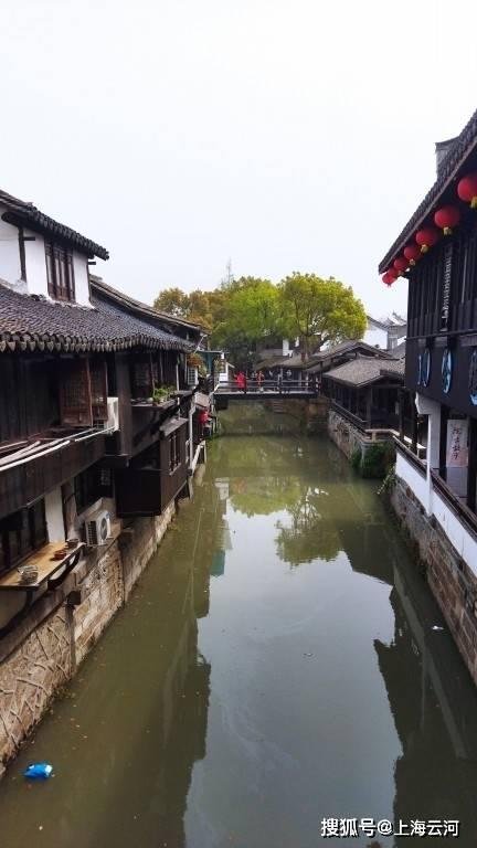 优雅的精灵